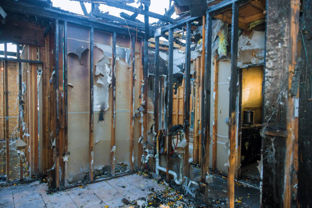 Professional Structural Rebuild technician working in Inver Grove Heights, MN